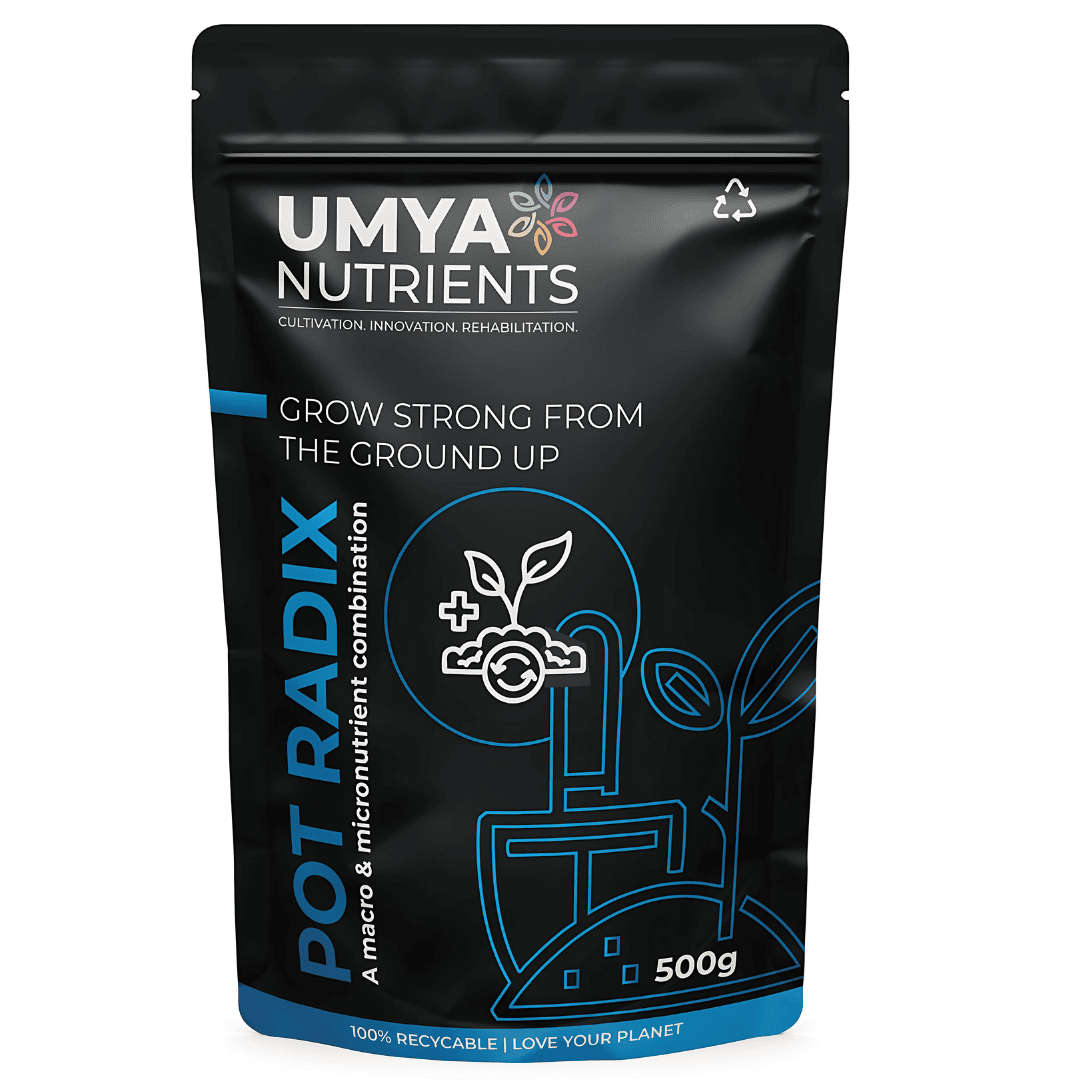 Umya Pot Radix 500g