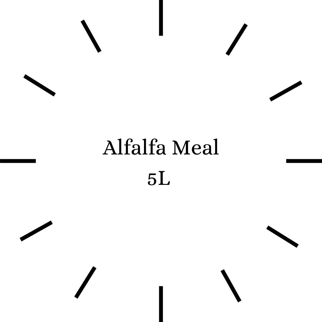 Alfalfa Meal 1lt