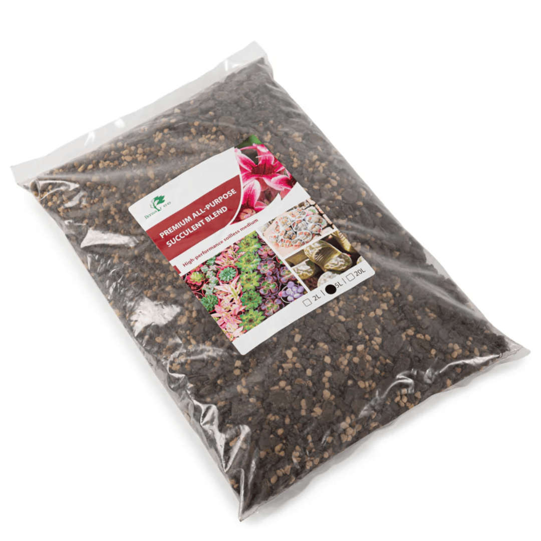 Premium All Purpose Succulent Mix 5L
