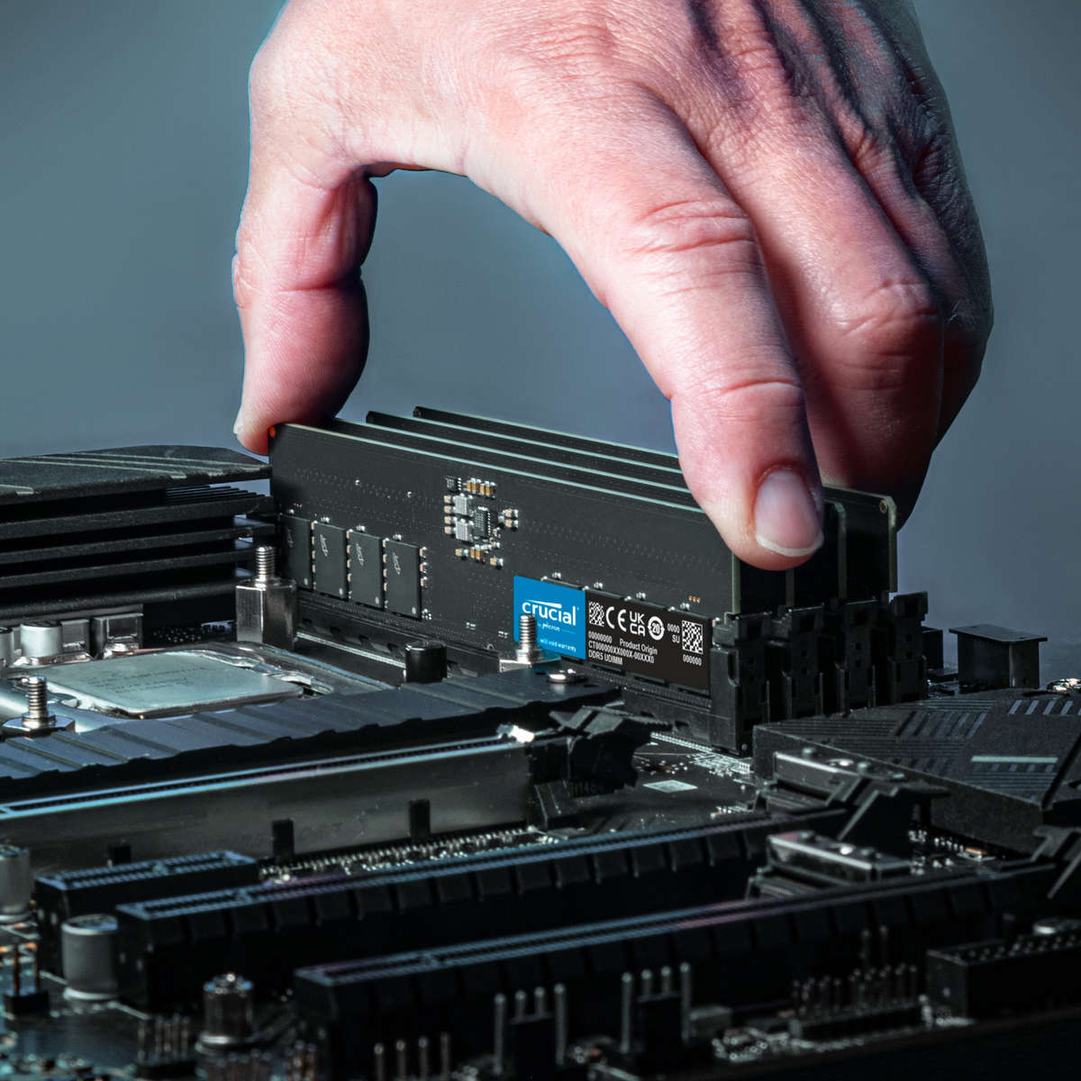 Crucial 16GB 5600MHz DDR5 Desktop Memory