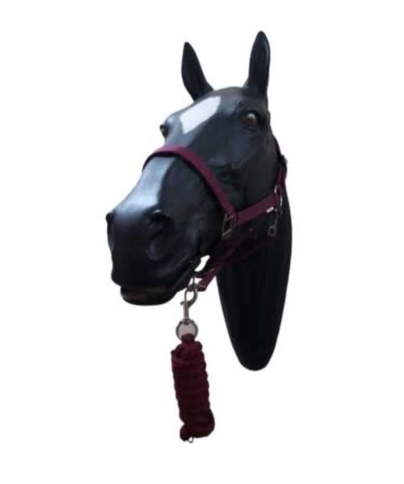 Regus Econo Halter  HALT1140BLP