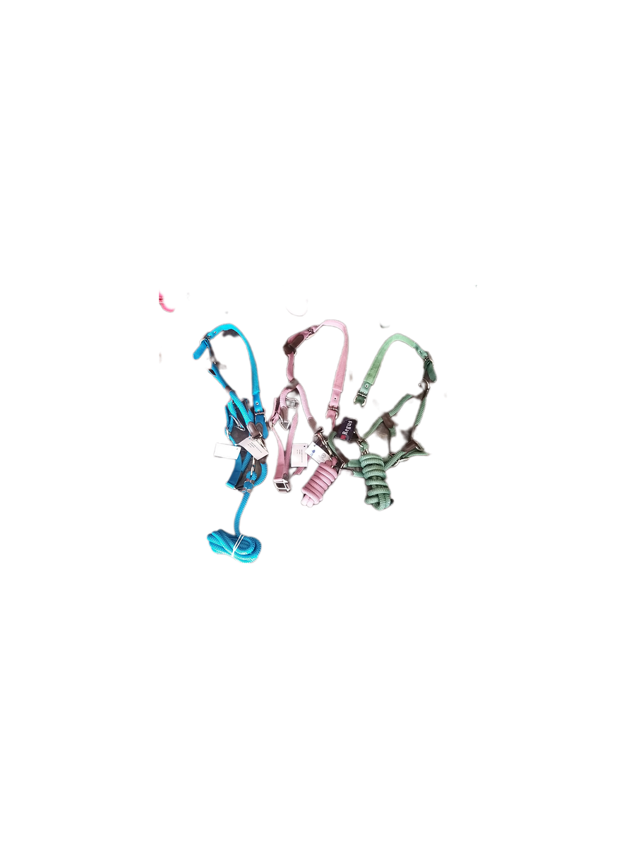 Regus Cornet Halter Set