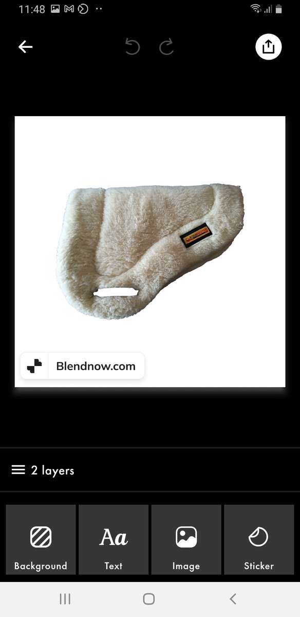 Equimaster wool numnah