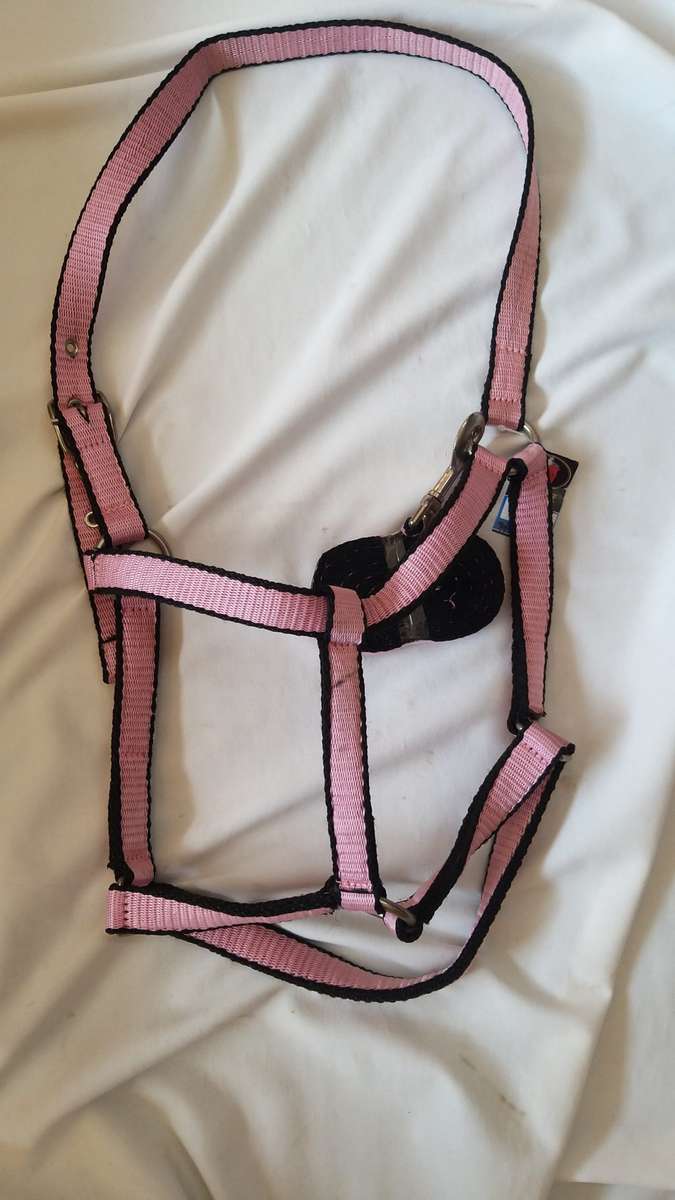 TRIDENT HALTER AND LEAD XL