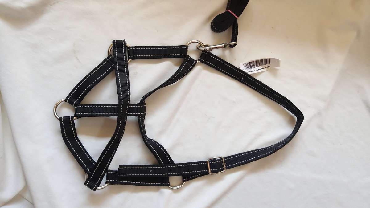 Equimaster Halter Medium /white stitching