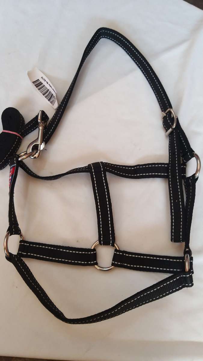Equimaster Halter Medium /white stitching