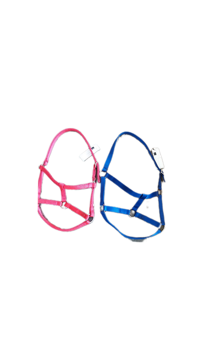 Equimaster foal/filly halter without lead