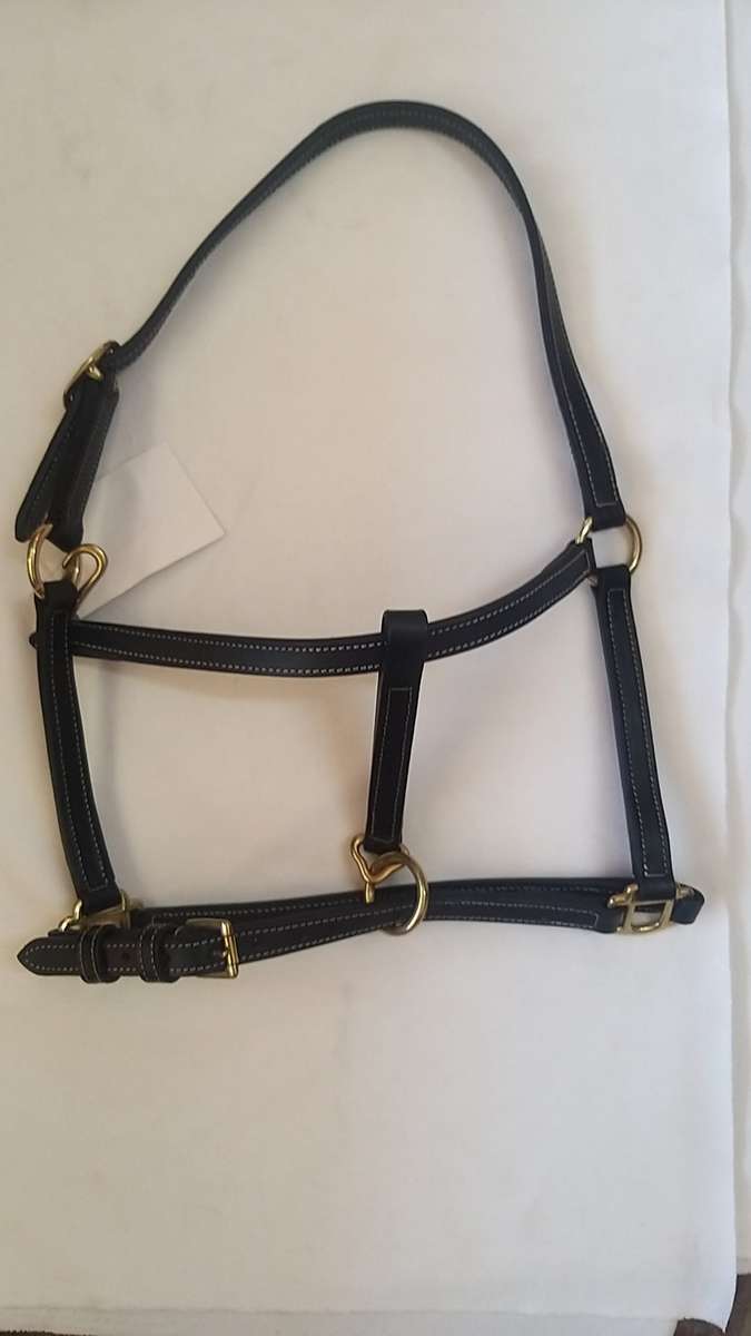 Leather Halter Black