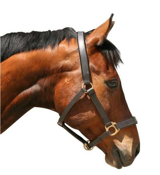 Leather Halter Black