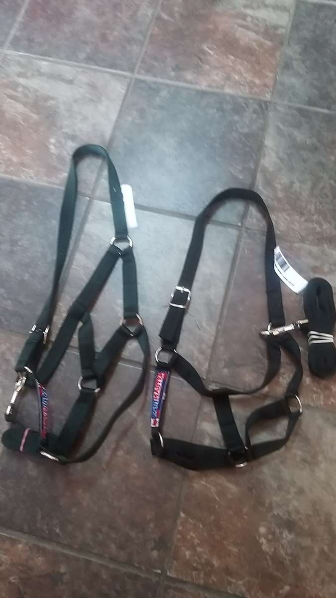 Equimaster Halter plain Large