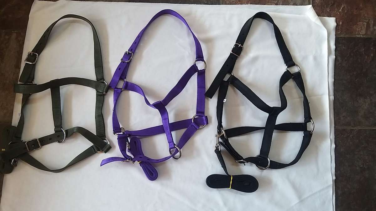 Equimaster Halter Medium (COB)