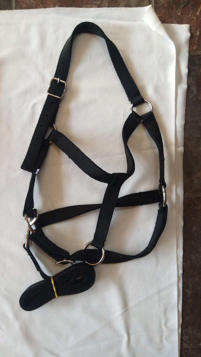 Equimaster Halter Medium (COB)