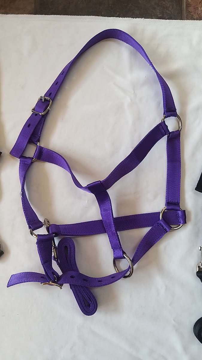 Equimaster Halter Medium (COB)