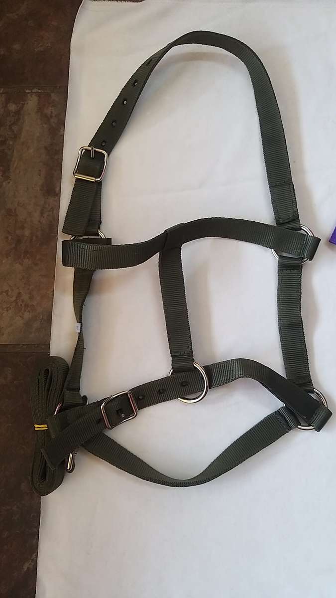 Equimaster Halter Medium (COB)