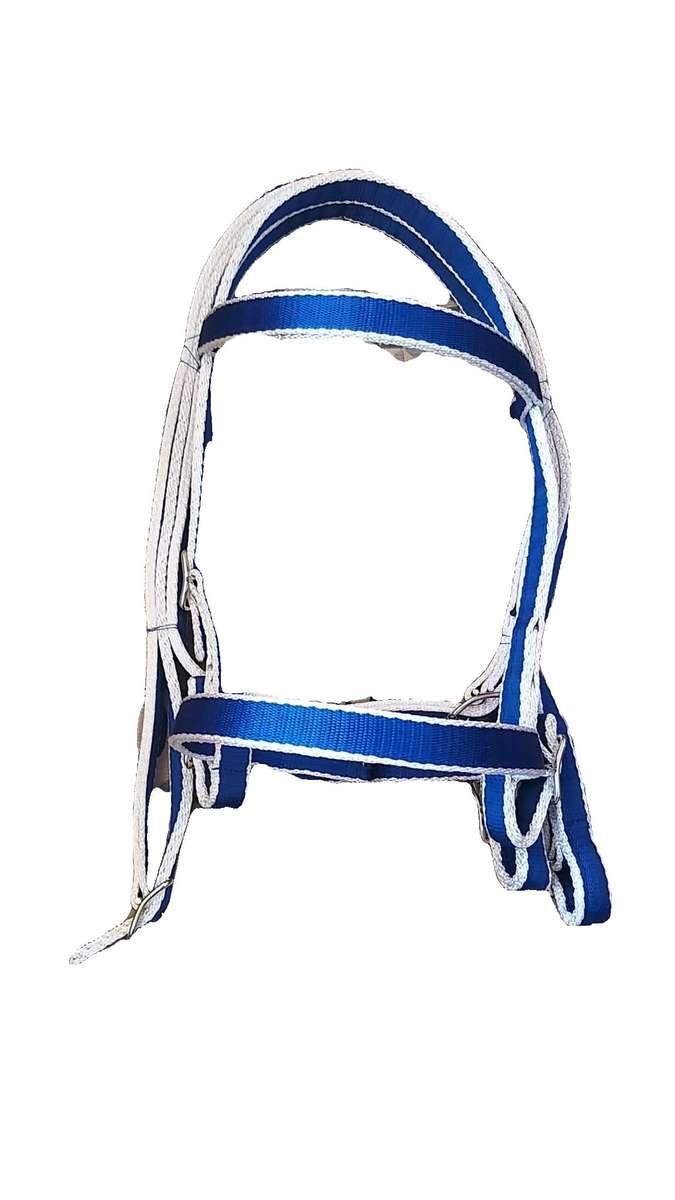 Equimaster web bridle 2 tone cob