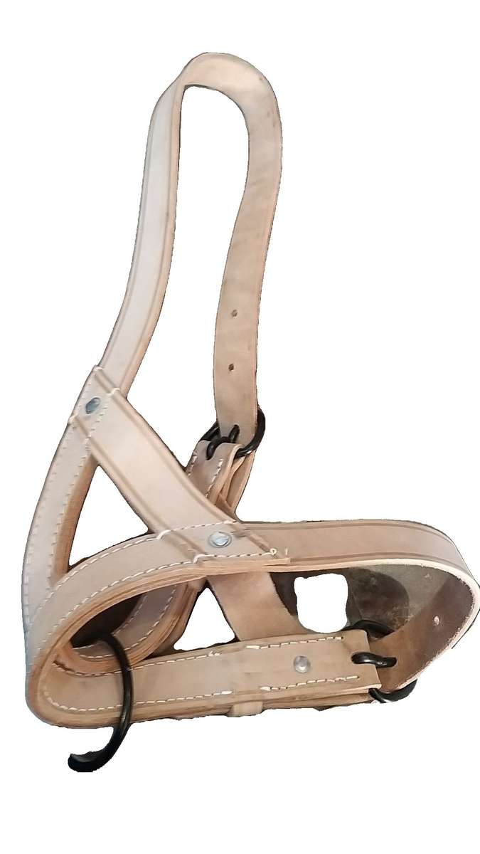 Cattle single halter Solo