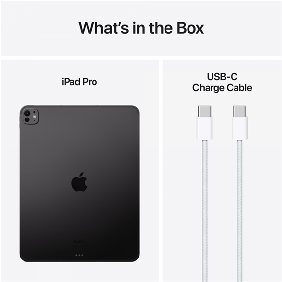 13-inch iPad Pro WiFi + Cellular 2TB with Standard glass - Space Black,Mode