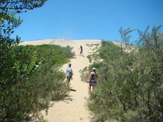 Mtunzini Forest Lodge 27th Nov-1st Dec