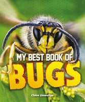 My Best Book of Bugs (Paperback)