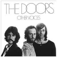 Other Voices (Vinyl record)