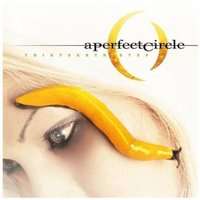 Thirteenth Step (Vinyl record, Gatefold Cover)