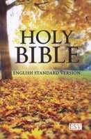 ESV Compact Bible (Autumn) (Paperback)