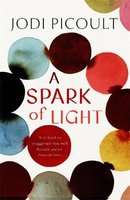 A Spark of Light - from the author everyone should be reading (Paperback)