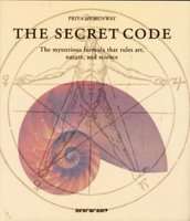 The Secret Code (Hardcover)