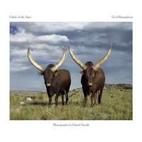 Cattle Of The Ages - Stories And Portraits Of The Ankole Cattle Of Southern Africa (Hardcover)