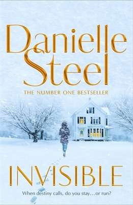 Invisible (Paperback)