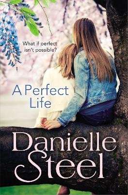 A Perfect Life (Paperback)