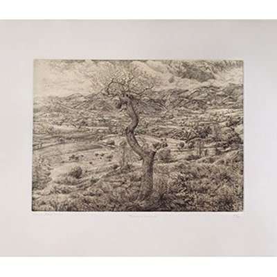 Fabriano Rosaspina 70x50cm 285gsm Ivory Printmaking Paper 25 Pack