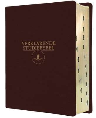 Afrikaanse (1933 / 1953) Verklarende Studiebybel (Wynrooi) (Afrikaans, Leather / fine binding)
