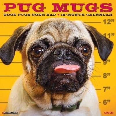 Pug Mugs 2021 Wall Calendar (Calendar)