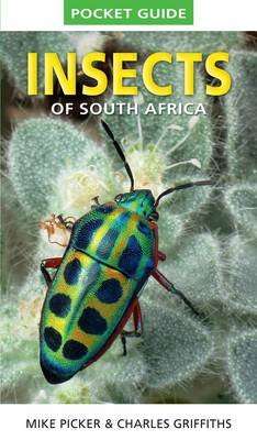 Pocket Guide Insects of South Africa (Paperback)