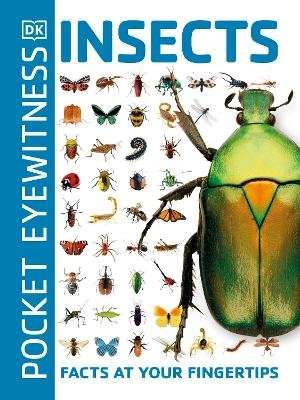 Pocket Eyewitness Insects - Facts at Your Fingertips (Paperback, New Edition)
