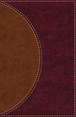 Amplified Reading Bible, Leathersoft, Brown, Indexed - A Paragraph-Style Amplified Bible for a Smoot
