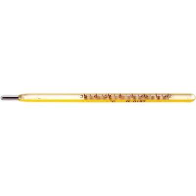 Be-Safe Mercury Oral Thermometer
