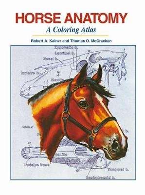 Horse Anatomy - A Coloring Atlas (Spiral bound)