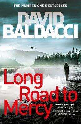 Long Road to Mercy (Paperback)