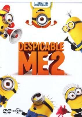 Despicable Me 2 (DVD)