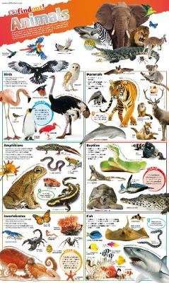 DKfindout! Animals Poster (Wallchart)
