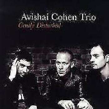 Gently Disturbed (Vinyl record)