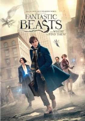 Fantastic Beasts And Where To Find Them (DVD)