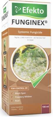 Efekto Funginex - Systemic Fungicide (100ml)