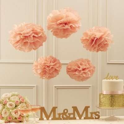 Pastel Perfection  - Tissue Paper Pom Poms - Pastel Pink (Pack of 5)