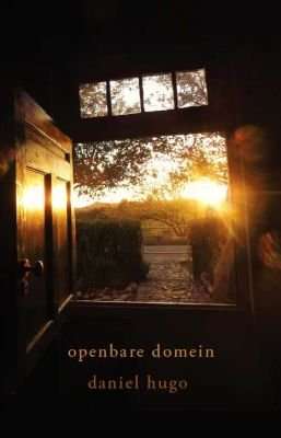 Openbare Domein (Afrikaans, Paperback)