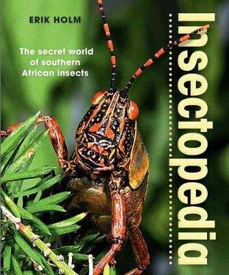 Insectopedia - The Secret World of Southern African Insects (Paperback, 2nd Revised Edition)