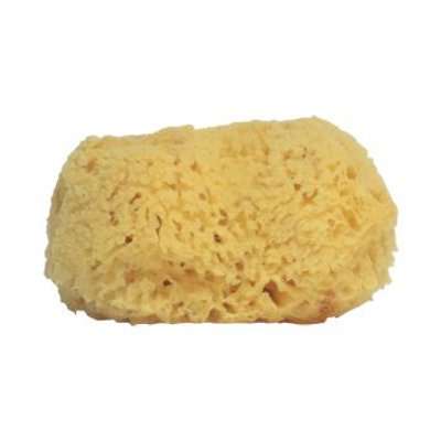 Handover Medium Approx. 5" At Widest (Natural Sea Sponge)