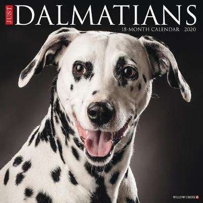 Just Dalmatians 2020 Wall Calendar (Dog Breed Calendar) (Calendar)